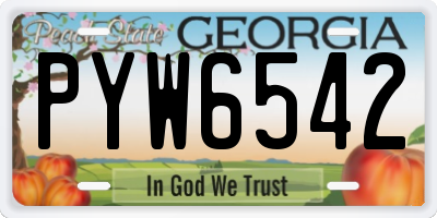 GA license plate PYW6542