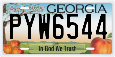 GA license plate PYW6544