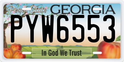 GA license plate PYW6553