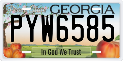 GA license plate PYW6585