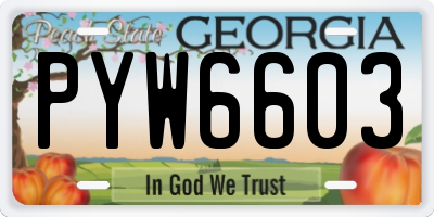 GA license plate PYW6603