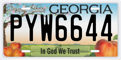 GA license plate PYW6644