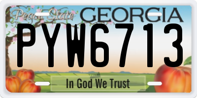 GA license plate PYW6713