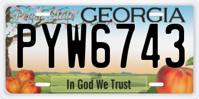 GA license plate PYW6743