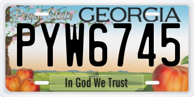 GA license plate PYW6745