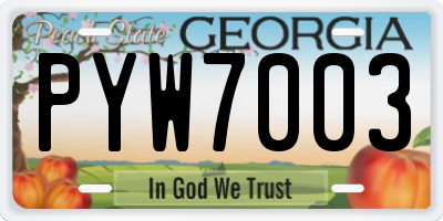 GA license plate PYW7003