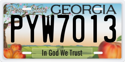 GA license plate PYW7013
