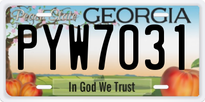 GA license plate PYW7031