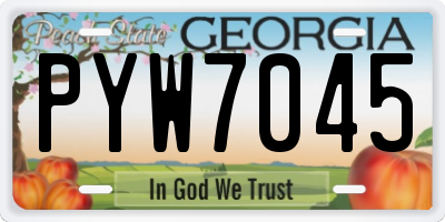 GA license plate PYW7045