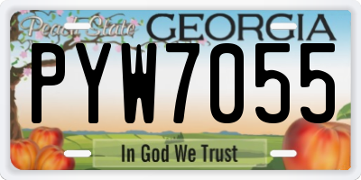 GA license plate PYW7055