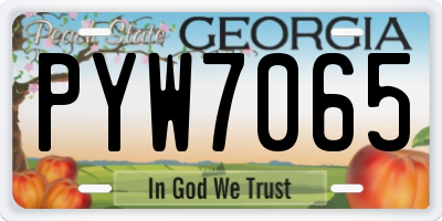 GA license plate PYW7065