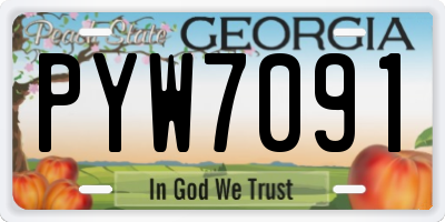 GA license plate PYW7091