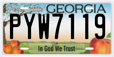 GA license plate PYW7119