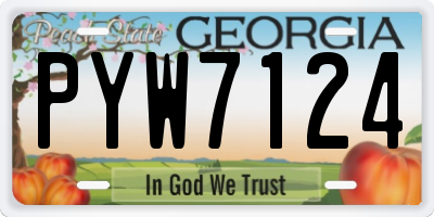 GA license plate PYW7124