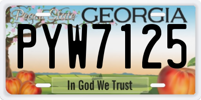GA license plate PYW7125