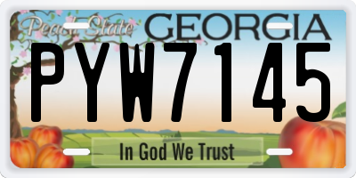 GA license plate PYW7145