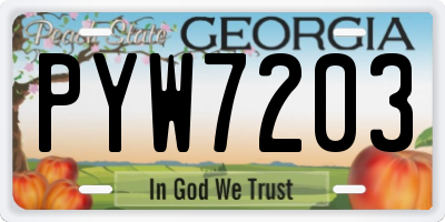 GA license plate PYW7203