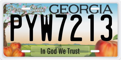 GA license plate PYW7213