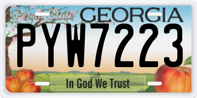 GA license plate PYW7223