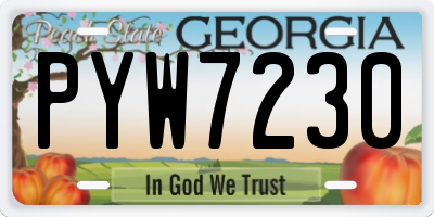GA license plate PYW7230
