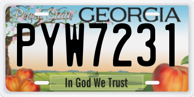 GA license plate PYW7231