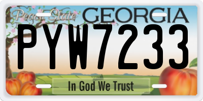 GA license plate PYW7233