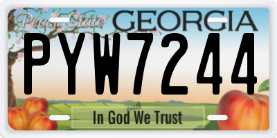 GA license plate PYW7244