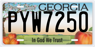 GA license plate PYW7250