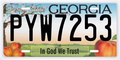GA license plate PYW7253