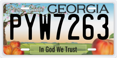GA license plate PYW7263
