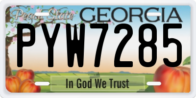 GA license plate PYW7285