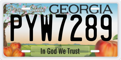 GA license plate PYW7289