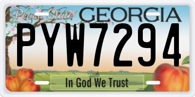 GA license plate PYW7294