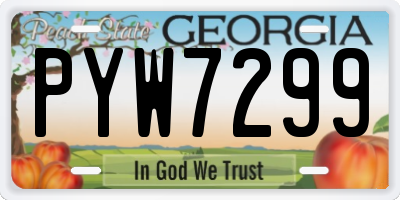 GA license plate PYW7299