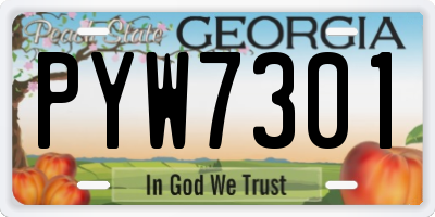 GA license plate PYW7301