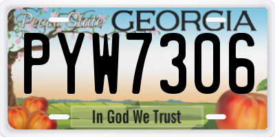 GA license plate PYW7306
