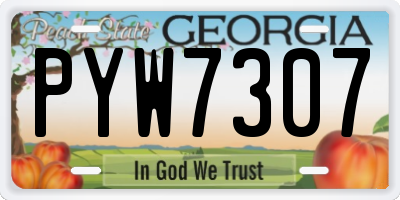 GA license plate PYW7307