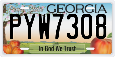 GA license plate PYW7308