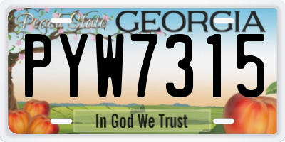 GA license plate PYW7315