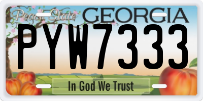 GA license plate PYW7333