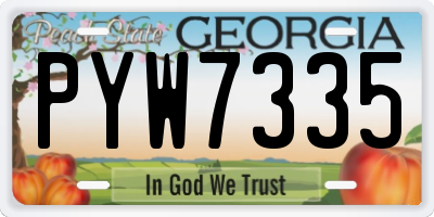 GA license plate PYW7335
