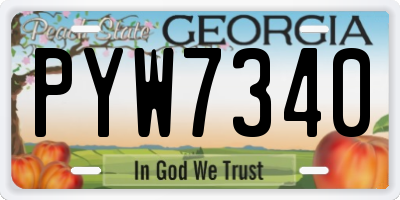 GA license plate PYW7340