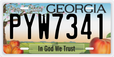 GA license plate PYW7341