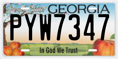 GA license plate PYW7347