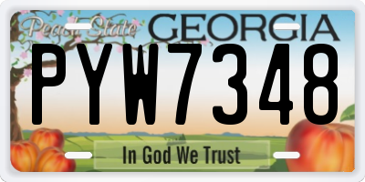 GA license plate PYW7348