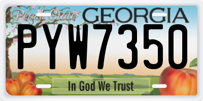 GA license plate PYW7350