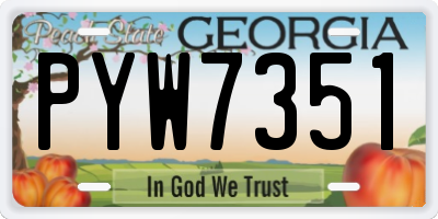 GA license plate PYW7351