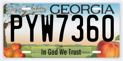 GA license plate PYW7360