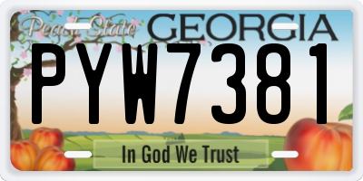 GA license plate PYW7381
