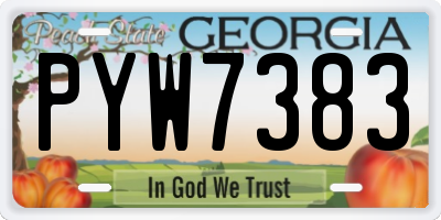 GA license plate PYW7383